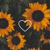 🪡🌻Chune🦋☘️🧒